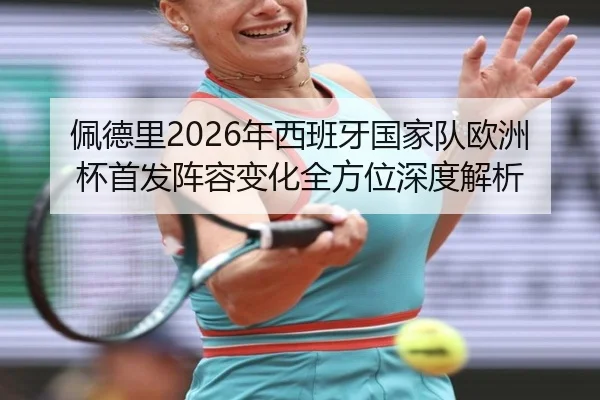 佩德里2026年西班牙国家队欧洲杯首发阵容变化全方位深度解析