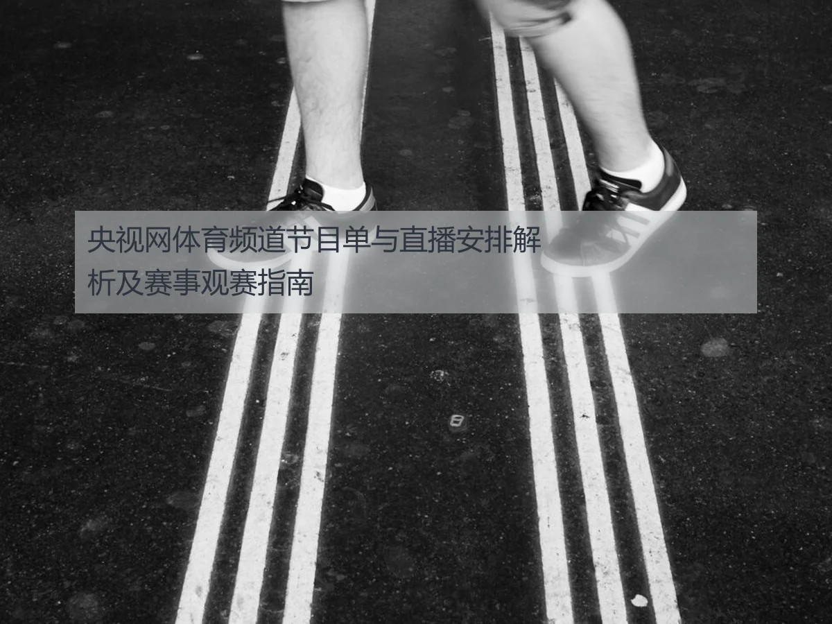 央视网体育频道节目单与直播安排解析及赛事观赛指南